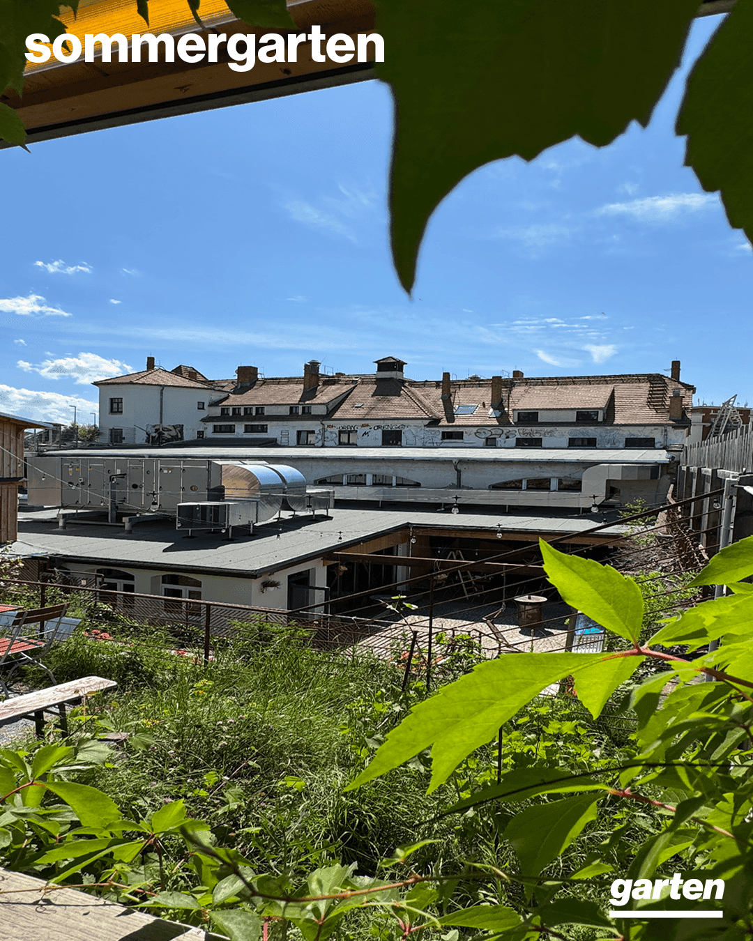 Sommergarten + Sommerprogramm 