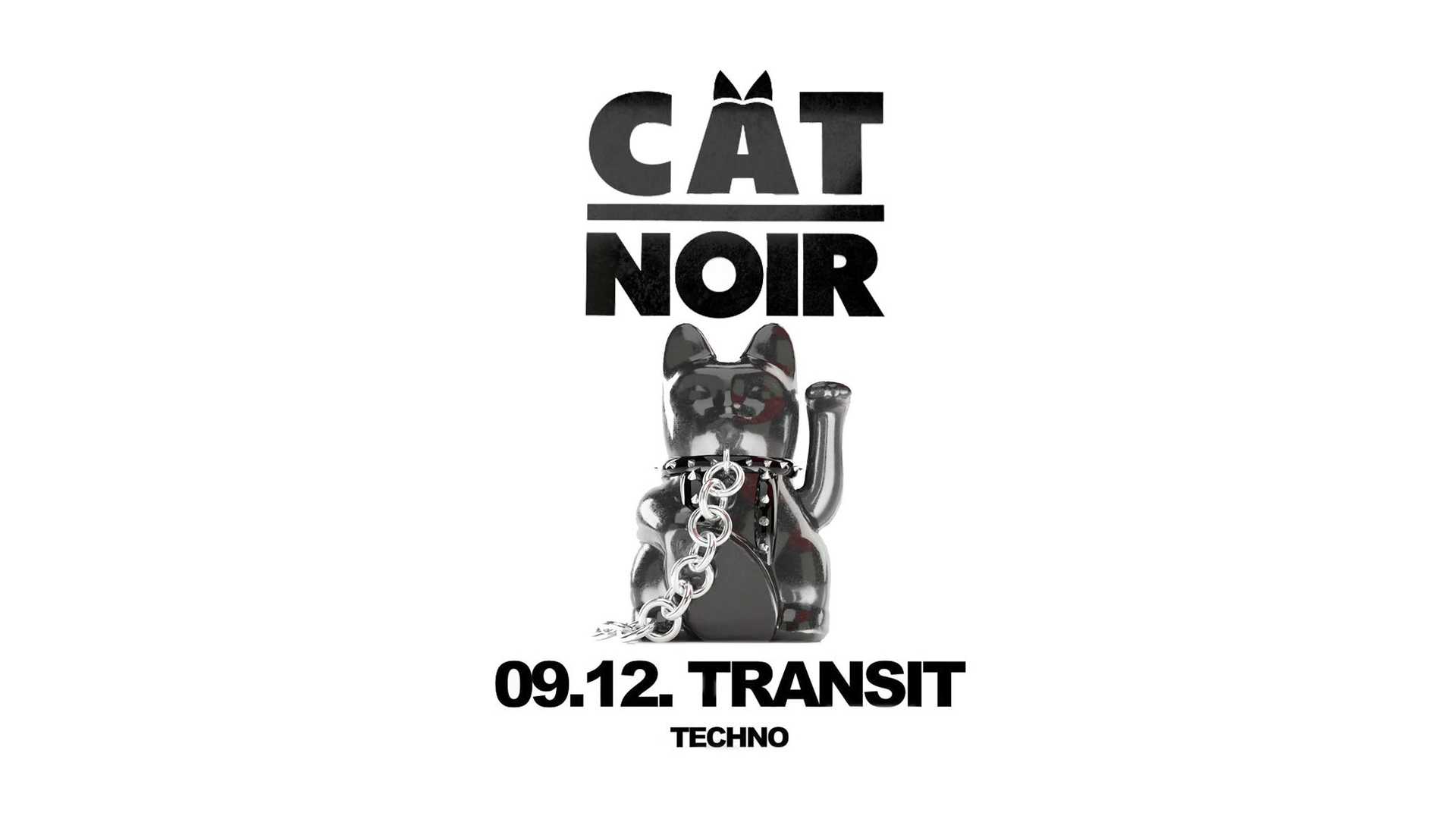 Cat Noir